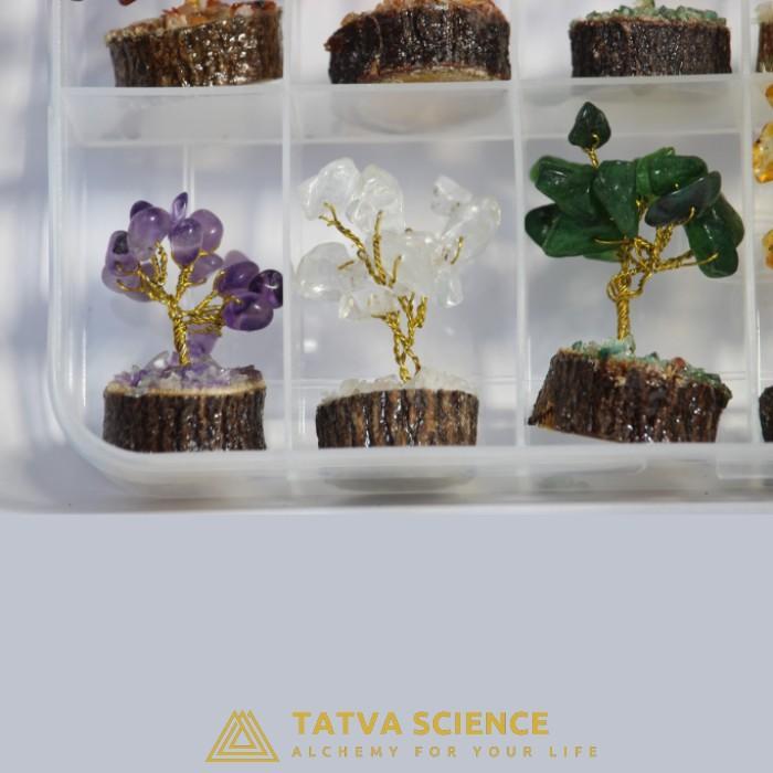 Small Tree Crystal Box3